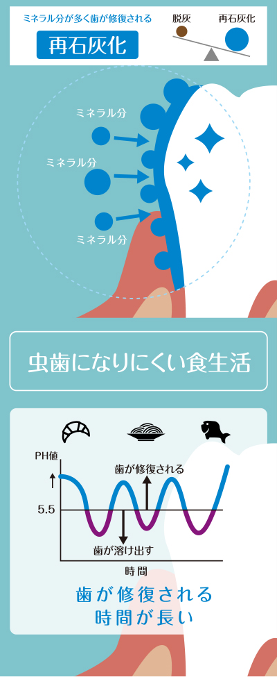 脱灰図1